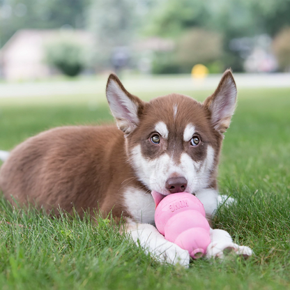 KONG Dog Toy & Treat Bundle - Puppies