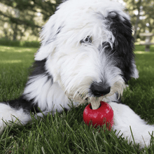 KONG Dog Toy & Treat Bundle - Medium/Large