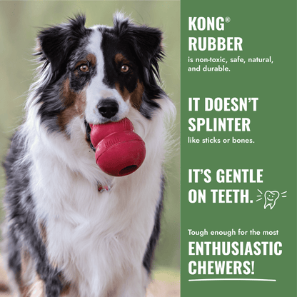 KONG Dog Toy & Treat Bundle - King
