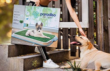 Paradiso Pet Tray