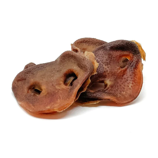 Pig Snouts Single