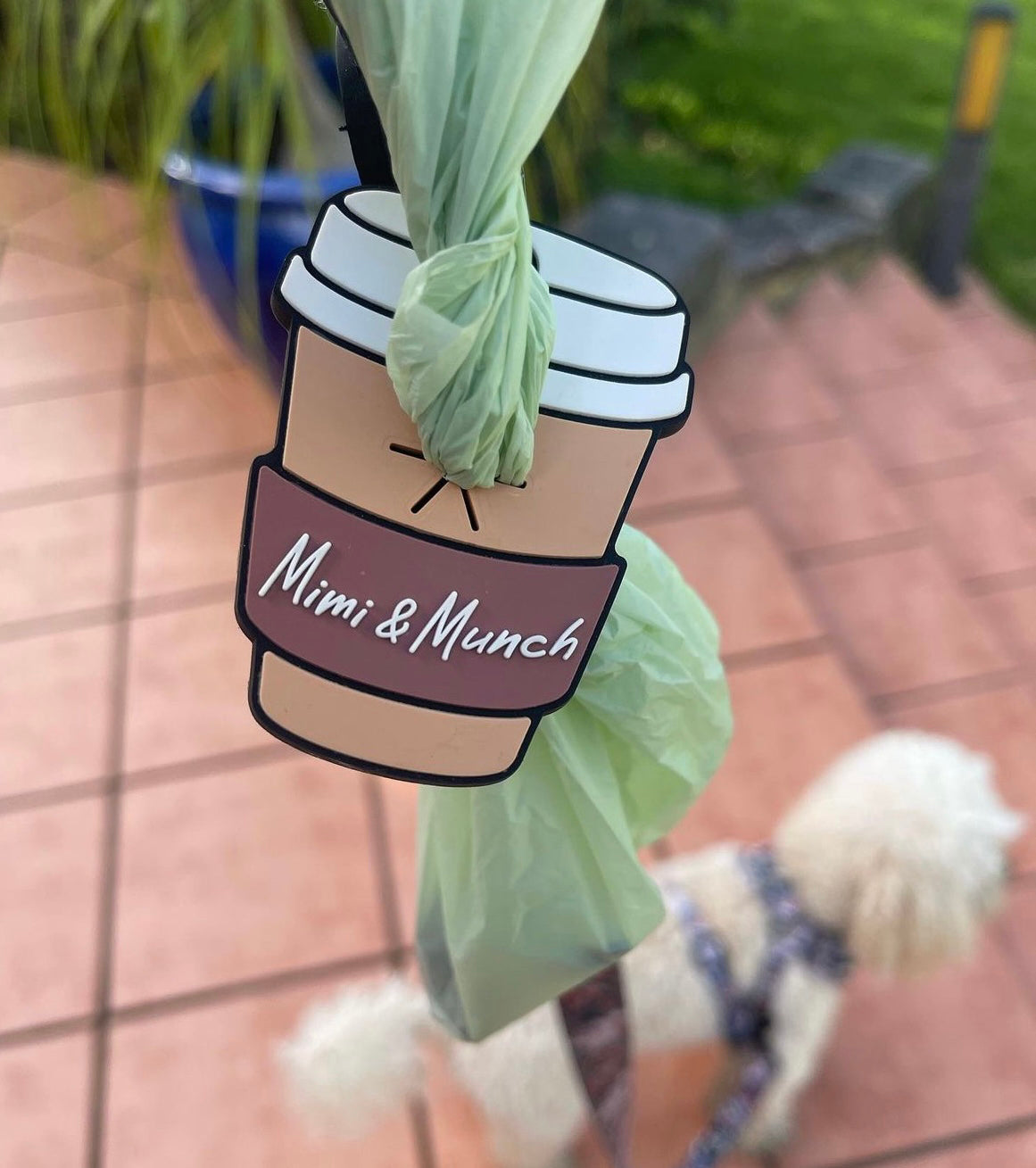 Birthday Dog Treat Bundle