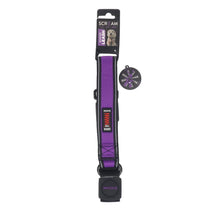 Scream Reflective Bungee Leash with Padded Handle - Loud Purple 3.8x55cm