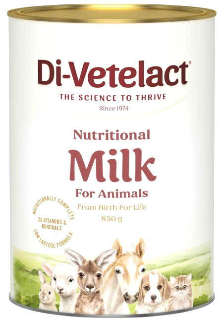 Divetelact Milk Replacer 850gm