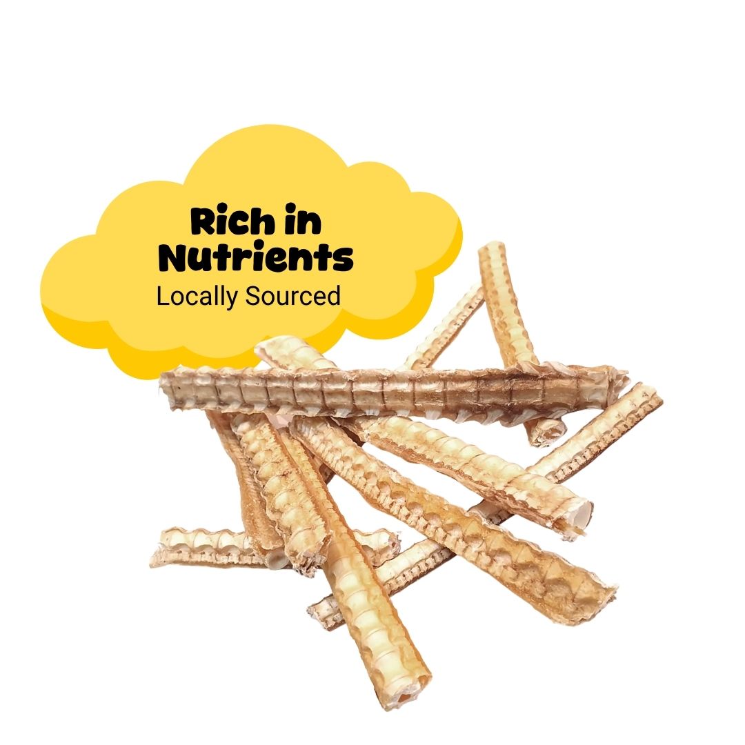 Shark Cartilage 1kg NG