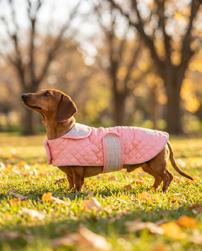 Dachshund Quilted Fleece Jackets