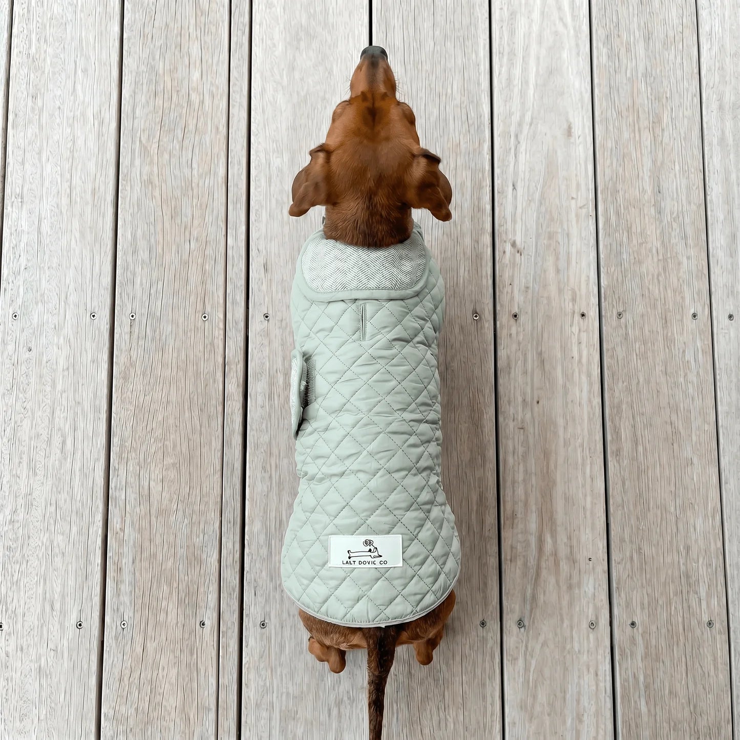Dachshund Quilted Fleece Jackets