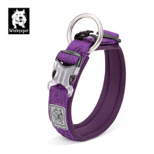 Whinhyepet Purple Dog Collar - XL