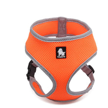 Skippy Pet Harness - Orange, Medium