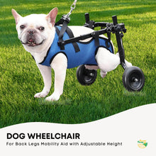 Rooster Farms Adjustable Small Dog Wheelchair - Back Leg Aid
