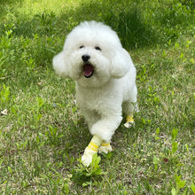 28pc Waterproof Disposable Dog Boots - Violet