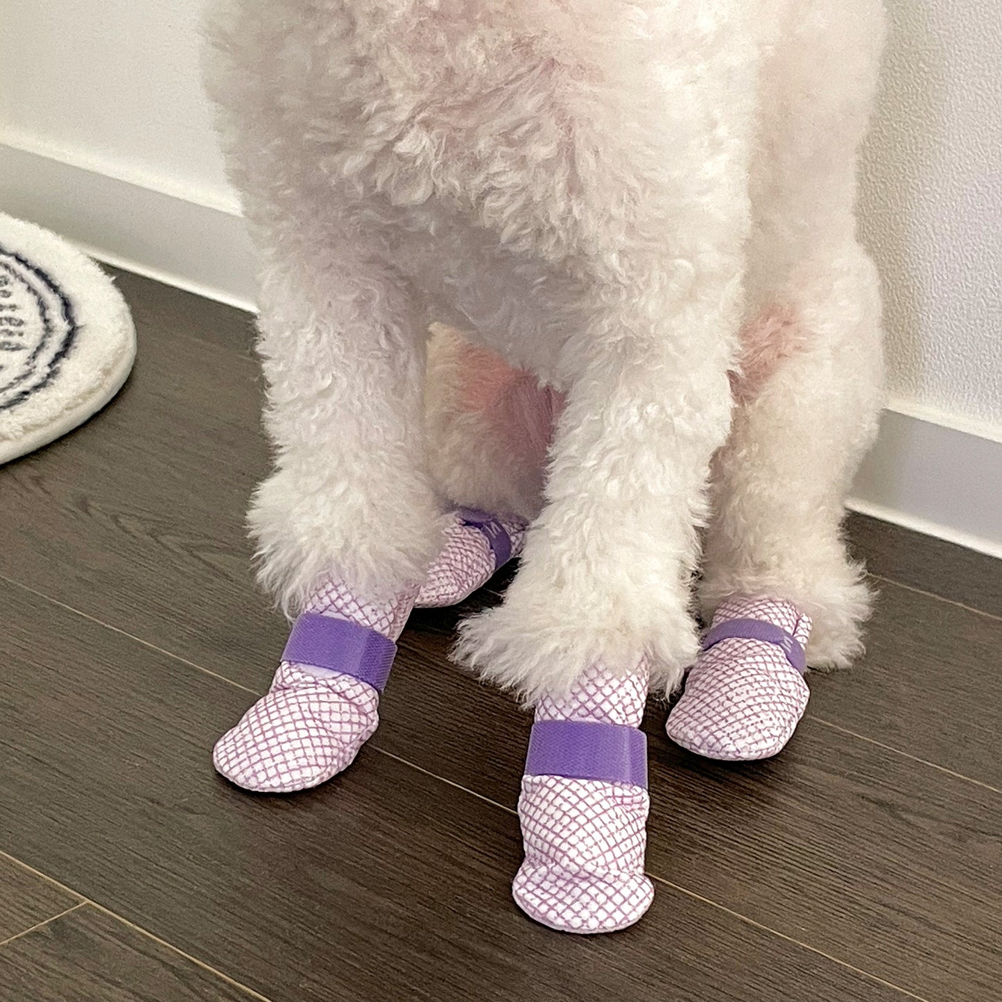 28pc Waterproof Disposable Dog Shoes - Violet