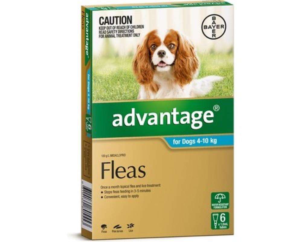 Advantage 6pk Dog 4 - 10kg Pet Savers