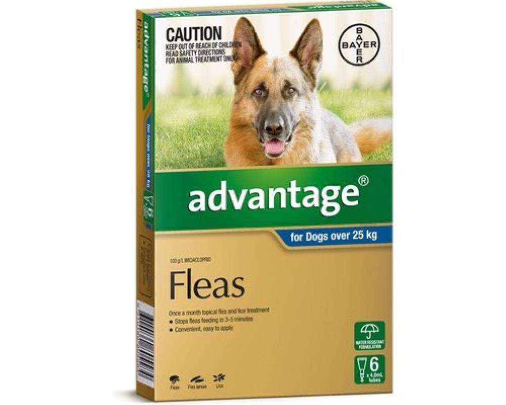 Advantage 6pk Dog over 25kg Pet Savers