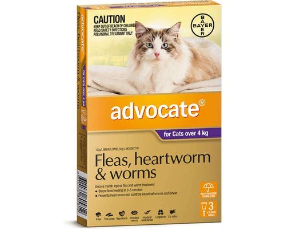 Advocate Cat over 4kg 3pk Pet Savers