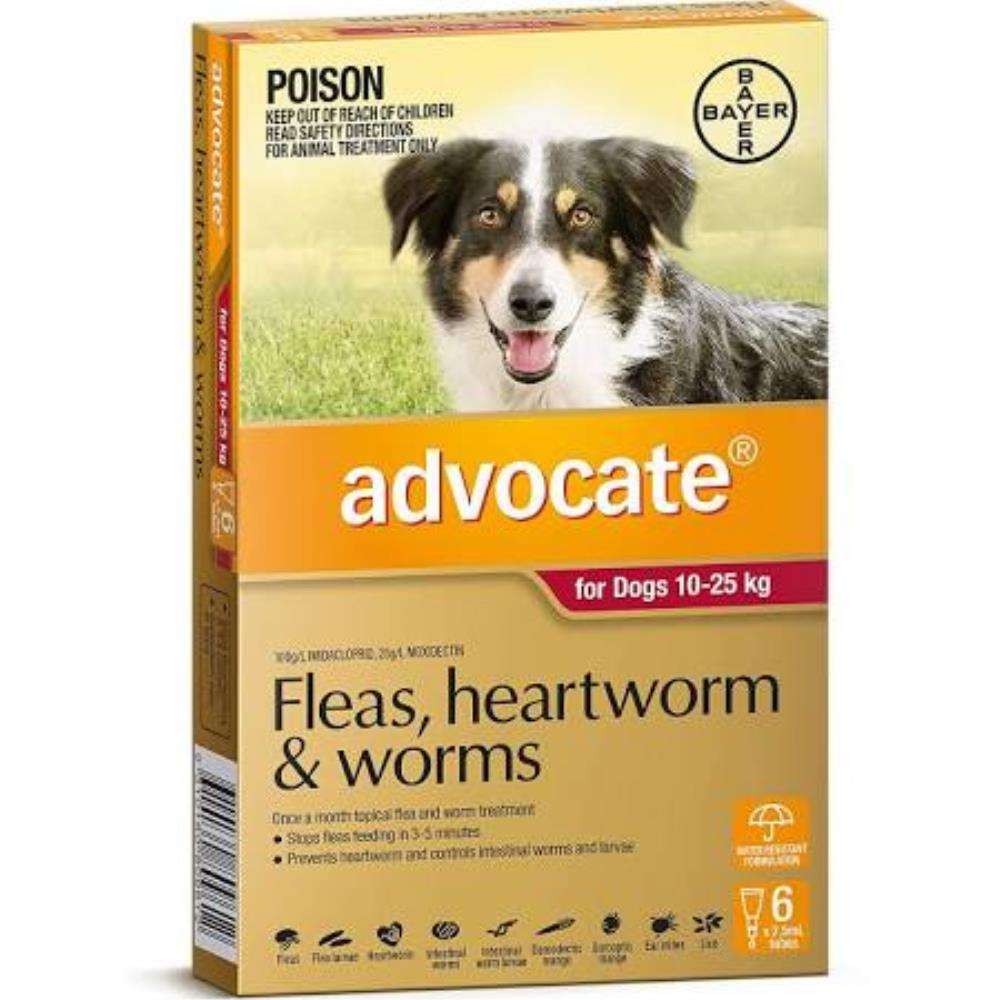 Advocate Dog 10 - 25kg 6pk Pet Savers