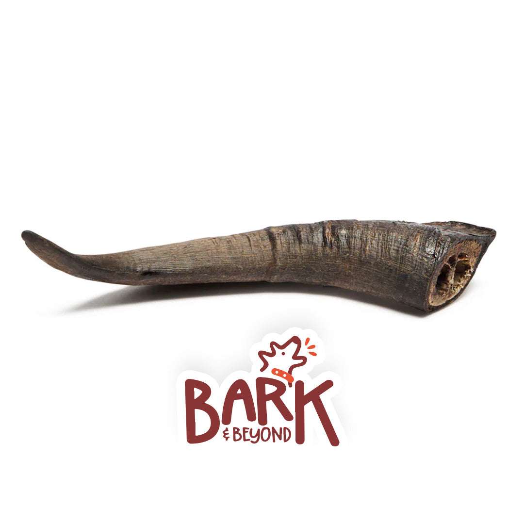 Bark & Beyond Medium Goat Horns 20-25cm Pet Savers