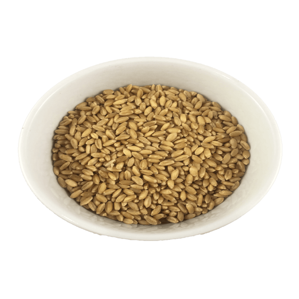 BCS Premium Wheat 600g Pet Savers