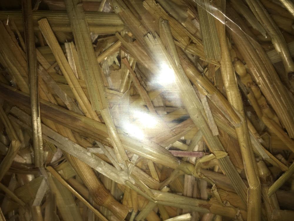 Premium Straw BCS Premium Barley Straw Wafers - Effective Pond Care – Pet Savers