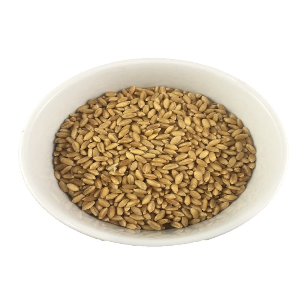 BCS Premium Wheat 600g