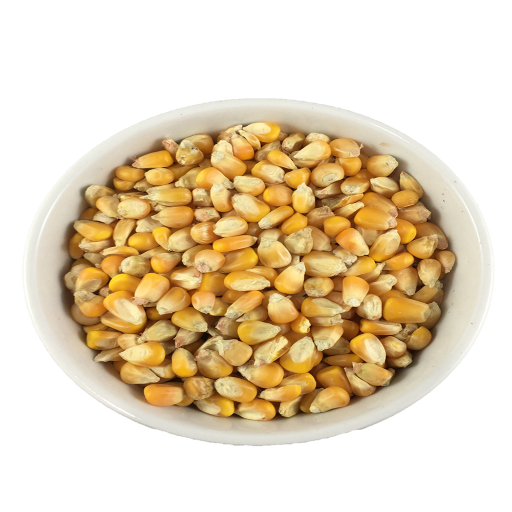 BCS Premium Whole Corn 600g