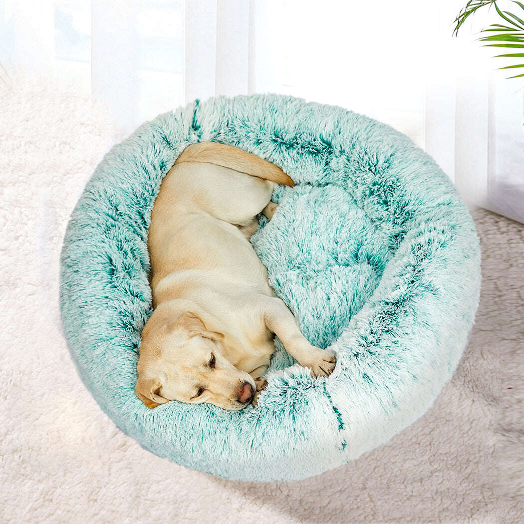 PaWz Pet Bed Cat Dog Donut Nest Calming L Teal Large-1910112957493284870