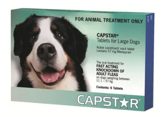 Capstar Large Dog 6 Pack
