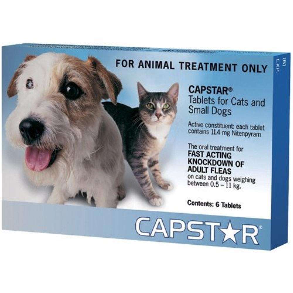 Capstar Small Dog & Cat 0.5-11kg Blue 6pk Pet Savers