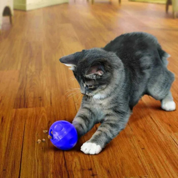 KONG Cat Treat Ball