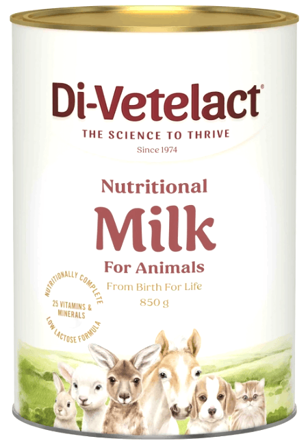 Divetelact Milk Replacer 850gm Pet Savers