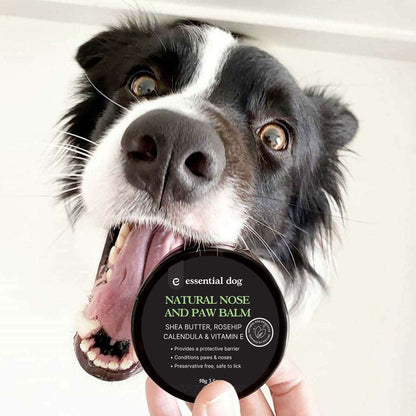 Dog Nose & Paw Balm (Shea, Rosehip, Calendula & Vitamin E) Pet Savers