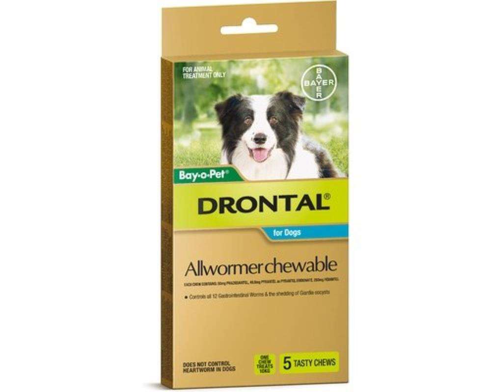 Drontal Dog Wormer 10kg (5 Chews) Pet Savers