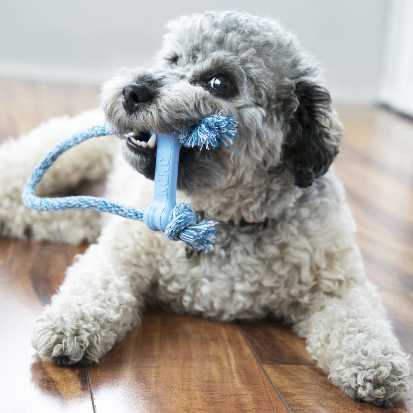 KONG Puppy Goodie Bone with Rope xSmall