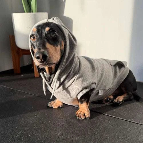 Fleecy Hoodies Pet Savers