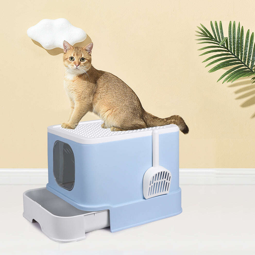 PaWz Cat Litter Box Fully Enclosed Kitty Blue-1910112950677540870