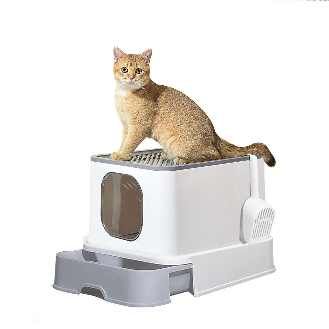 PaWz Cat Litter Box Fully Enclosed Kitty Grey-1910112951075999744