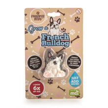 Grow Your Own French Bulldog Plush Toy Pet Savers