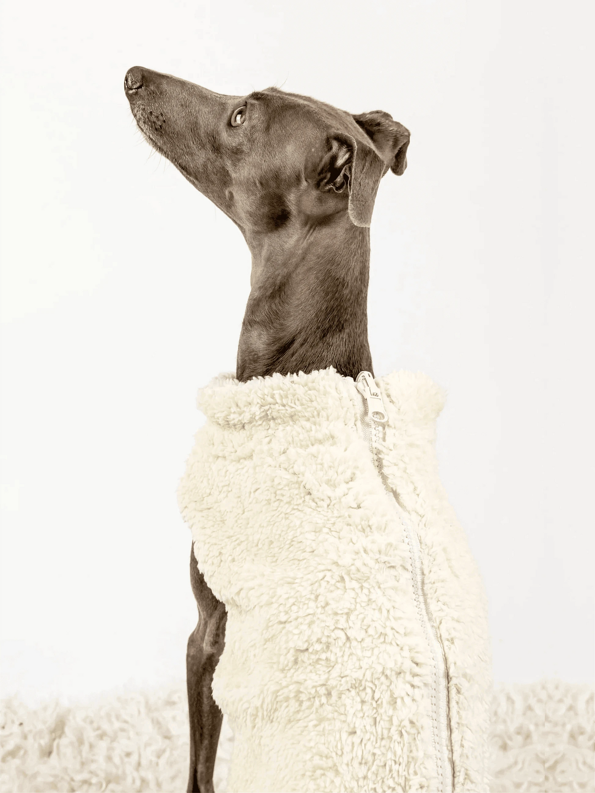 Hugs N Teddies: Zipper Sweater Coat Pet Savers
