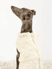 Hugs N Teddies: Zipper Sweater Coat Pet Savers