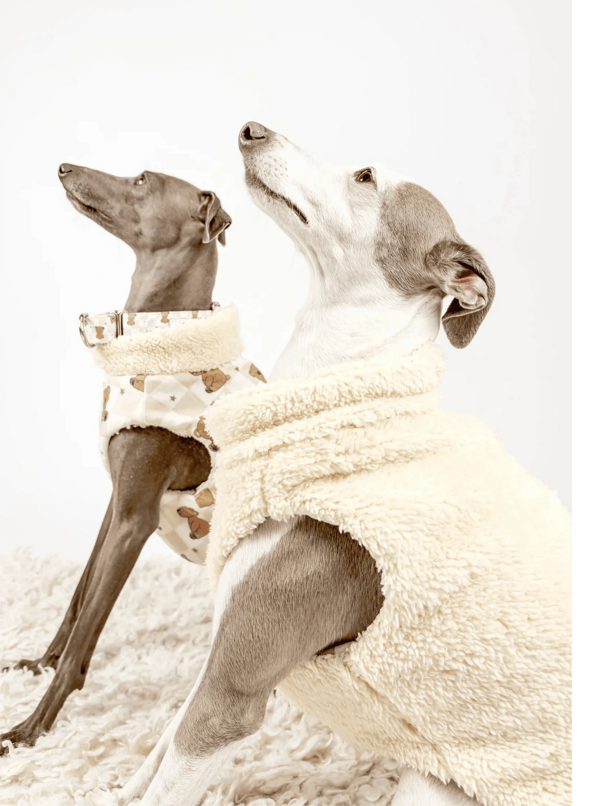 Hugs N Teddies: Zipper Sweater Coat Pet Savers