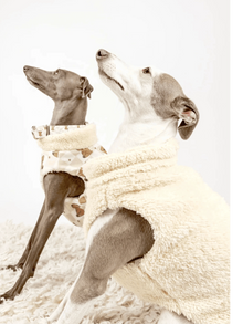Hugs N Teddies: Zipper Sweater Coat Pet Savers