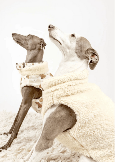 Hugs N Teddies: Zipper Sweater Coat Pet Savers