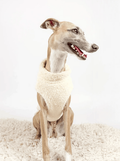Hugs N Teddies: Zipper Sweater Coat Pet Savers