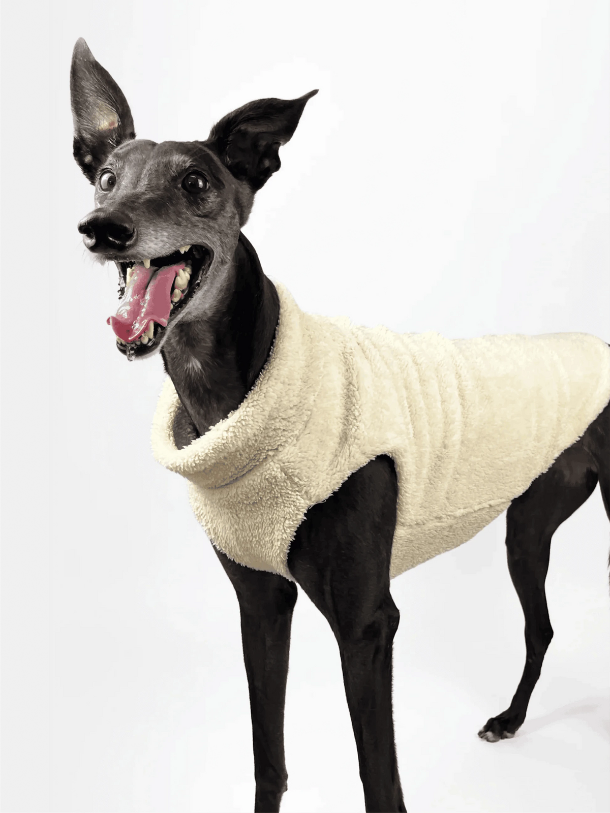 Hugs N Teddies: Zipper Sweater Coat Pet Savers