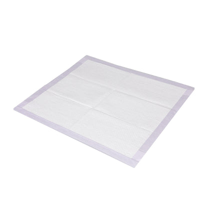 PaWz 200x Pet Dog Toilet Training Pad-1910112485130768384