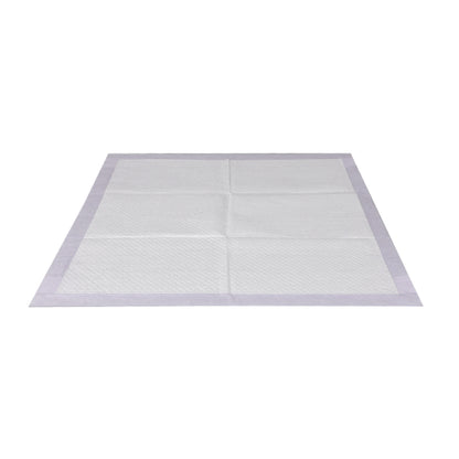 PaWz 100x Pet Dog Toilet Training Pad-1910112484946219009