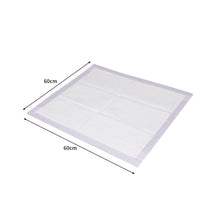 PaWz 100x Pet Dog Toilet Training Pad-1910112484946219010