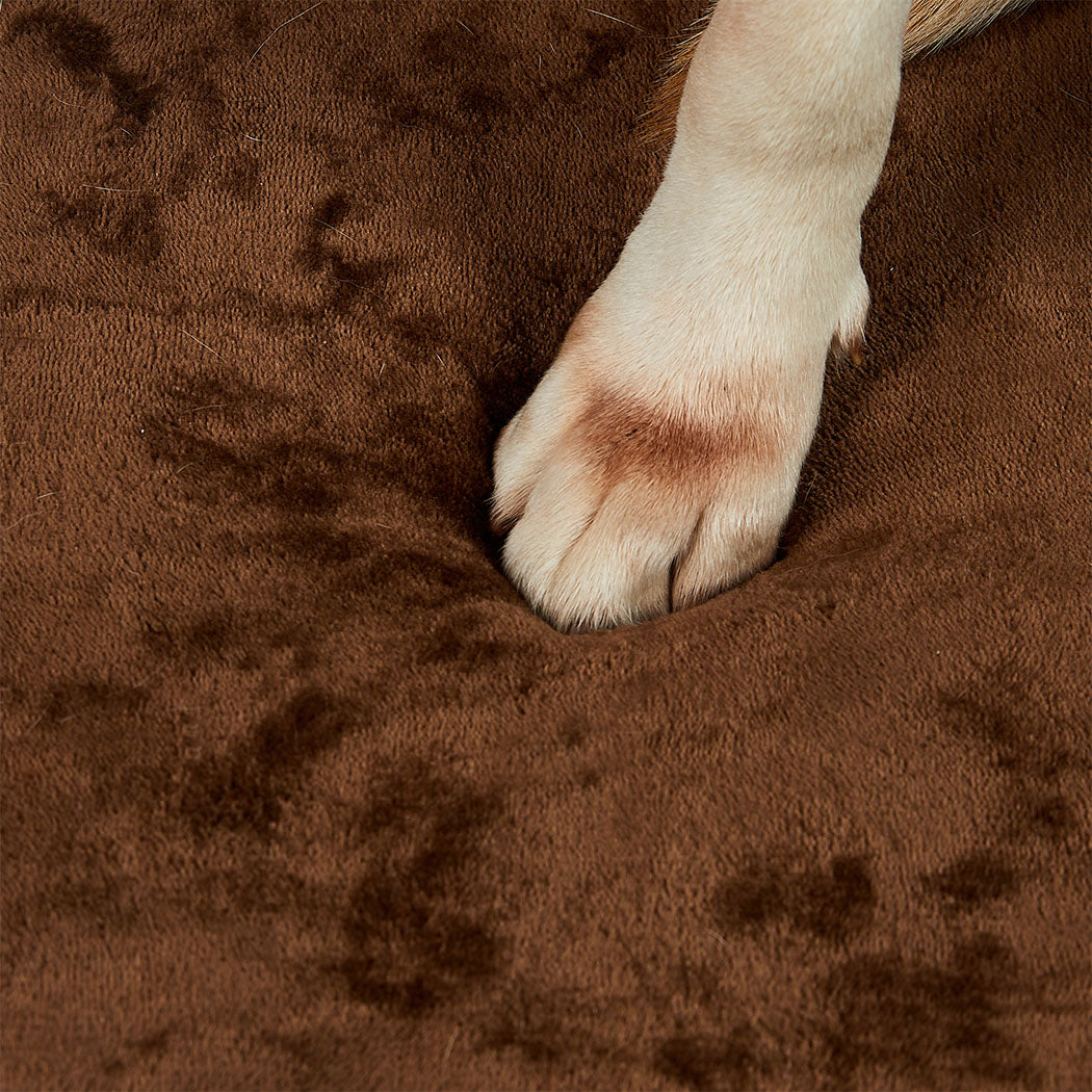Pawz Orthopedic Dog Bed M Coffee-1910112252359479299