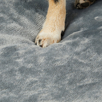Pawz Orthopedic Dog Bed XL Grey-1910112253810708483