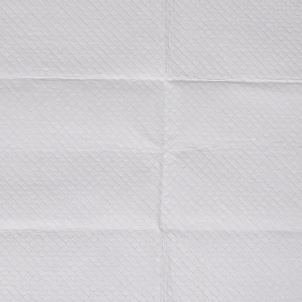 PaWz 100x Pet Dog Toilet Training Pad-1910112484946219013